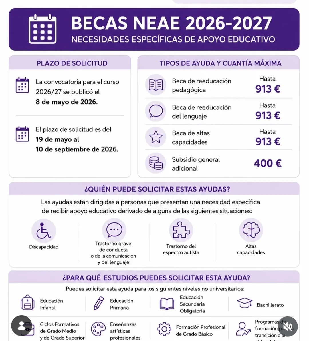 becas_NEAE